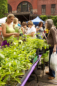 Omaha Farmers Market » Old Market